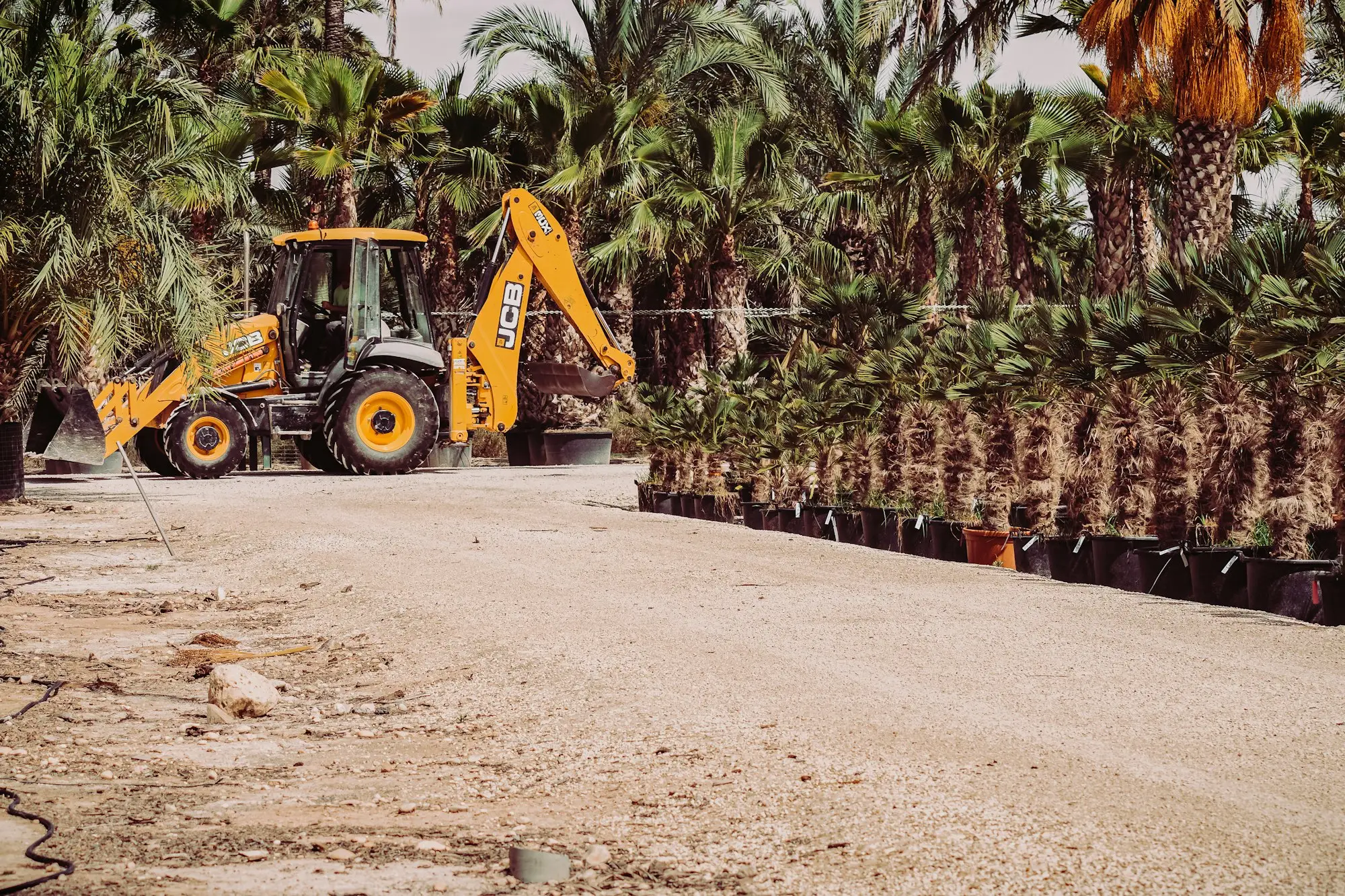 Excavator in an equipment yard lined with palm trees
